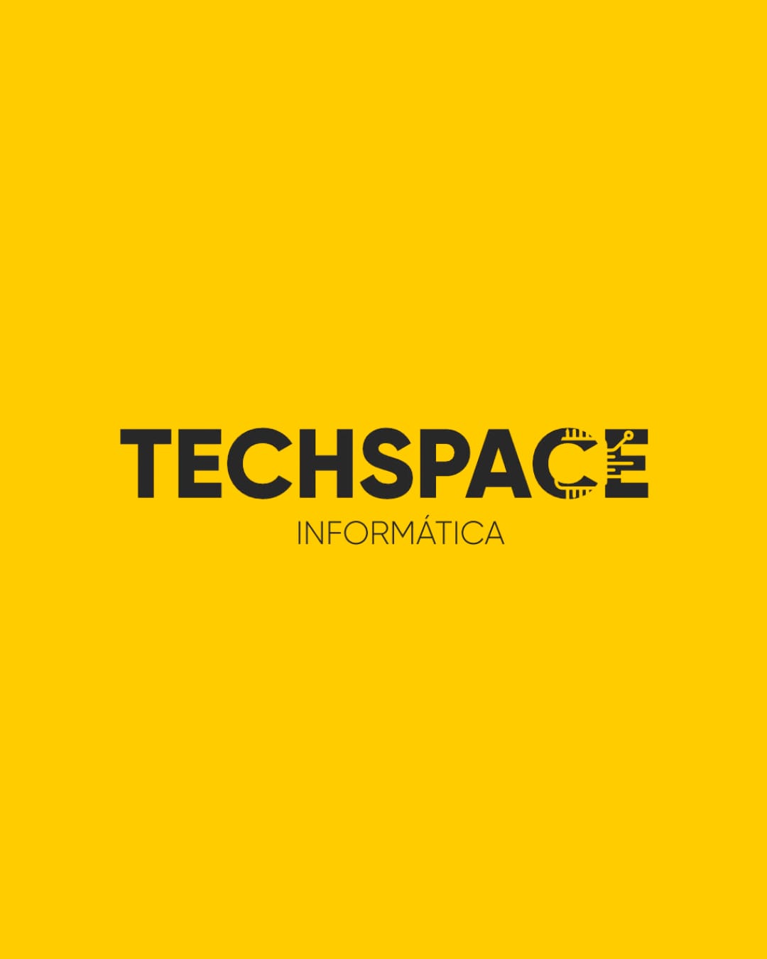 TECHSPACE INFORMATICA